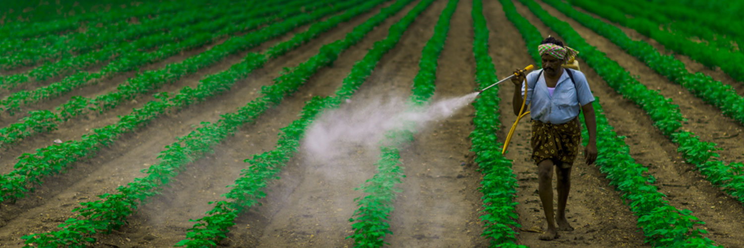 Shree Pesticides