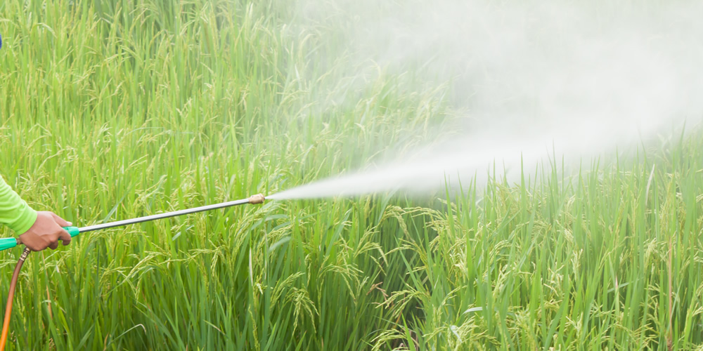pesticide manufacturers in udaipur