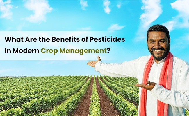 What Are the Benefits of Pesticides in Modern Crop Management?